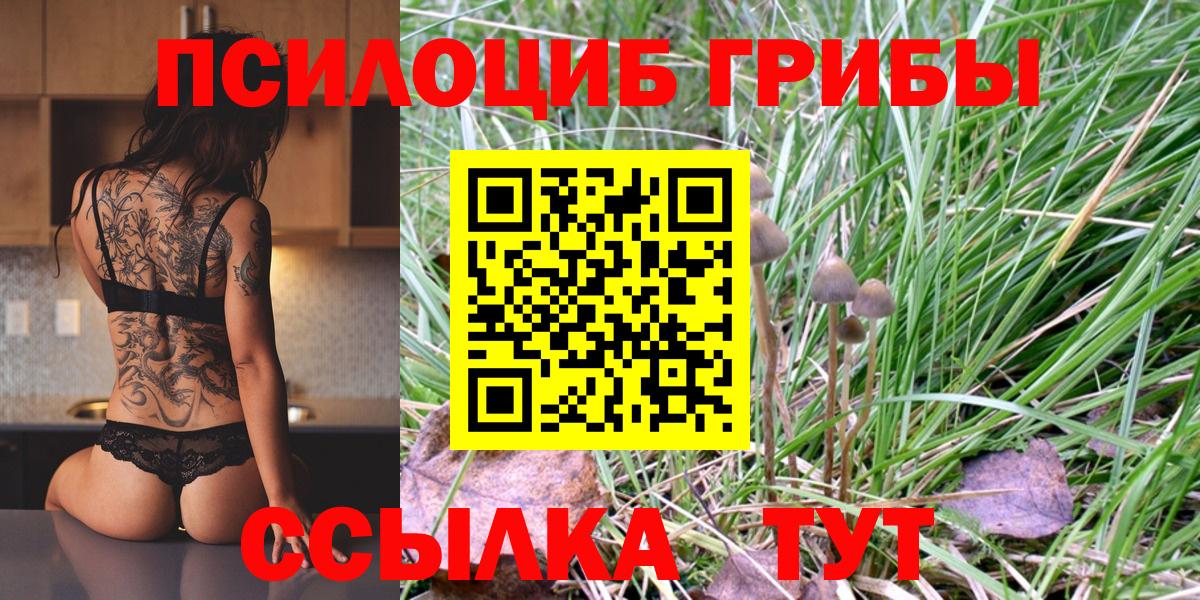 Галлюциногенные грибы Magic Shrooms  Галлюциногенные грибы Psilocybe  Губкинский  Вход с VPN 